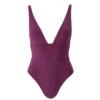 Caribbean Bordeaux Swimsuit