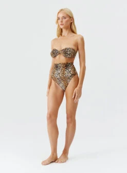 Catania Cheetah Bikini Bottom 11 Catania Cheetah Bikini Bottom -Melissa Odabash Sale catalina cheetah bikini model 2025 F 4cdec27d bf5d 4450 a455 7db27e41becd