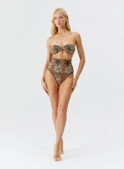 Catania Cheetah Bikini Bottom 13 Catania Cheetah Bikini Bottom -Melissa Odabash Sale catalina cheetah bikini model 2025 P b5317097 8d69 4833 a7c1 7ec5dd0d8817