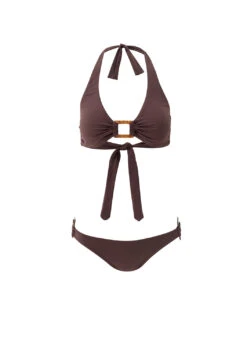 Exclusive Paris Brown Bikini